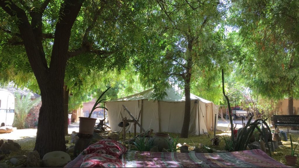 Tent in the shadow of the trees